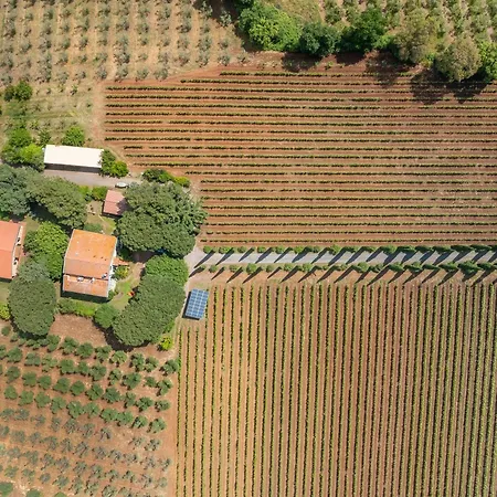 La Sassetta Alojamento de Turismo Rural *