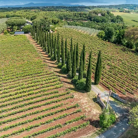 Farm stay La Sassetta Bibbona