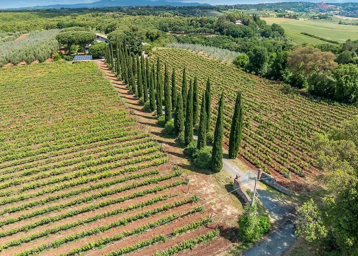 Alojamento de Turismo Rural La Sassetta Bibbona