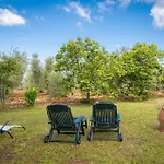 Gospodarstwo agroturystyczne La Sassetta Bibbona