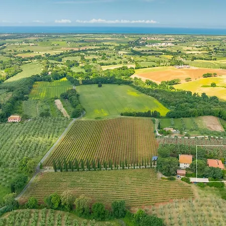La Sassetta