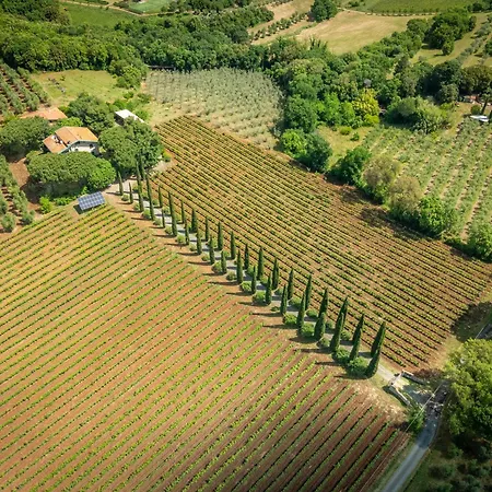 La Sassetta Bauernhof *