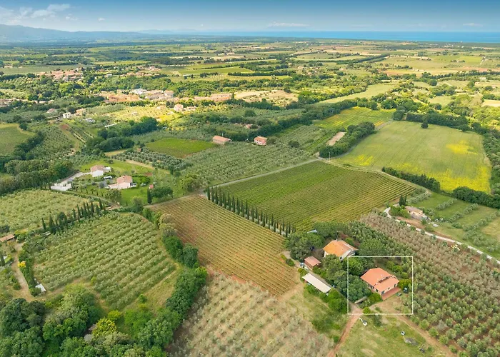 La Sassetta * Bibbona